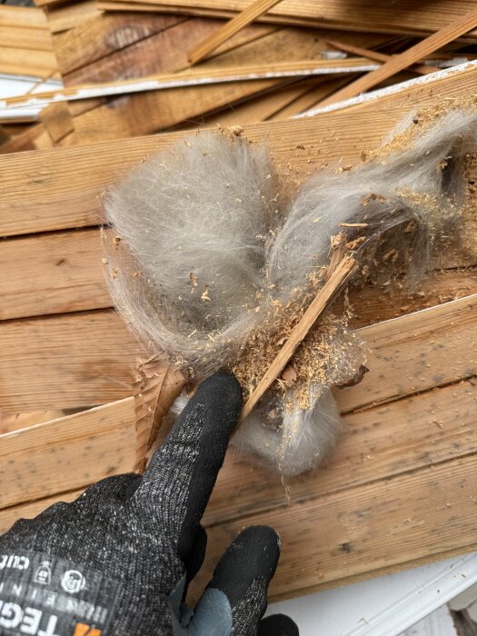 Isolermaterial mellan brädor, ser ut som vit fiber, hålls av en hand i arbetshandske.