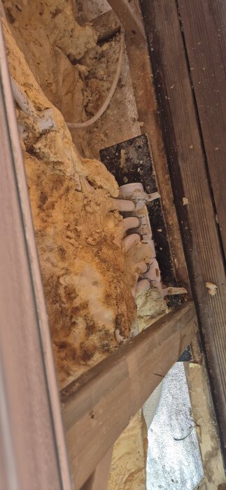 Isolering med rör i en vägg, delvis täckt av träpanel och reflekterande material, möjligen en del av en renovering.