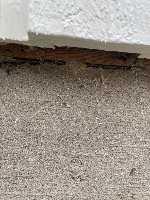 Kort förrådsfasad där vitt panel brister i täckning och obehandlat trä syns vid grunden.