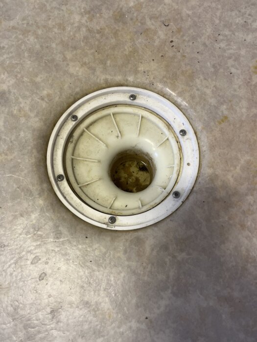 Golvbrunn med vit ram och skruvar, sett ovanifrån, på golv. Central öppning och smuts synlig i mitten. Diameter 170mm utvändigt, 135mm invändigt.