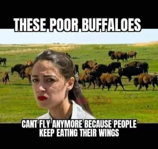 Kvinna framför en buffelhjord på en äng med texten "These poor buffaloes can't fly anymore because people keep eating their wings" i bildens topp och botten.