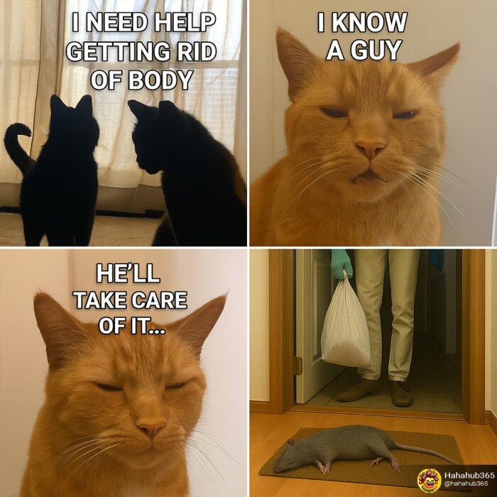Två katter diskuterar hjälp med en kropp, en orange katt "känner en kille", följt av en död råtta på golvet och en person med en påse.