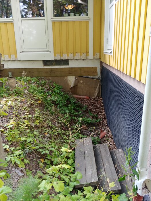 Gul tillbyggnad med vit dörr och fönster; svart platonmatta på vägg; trappa i trä; grönska och växtlighet nedanför.