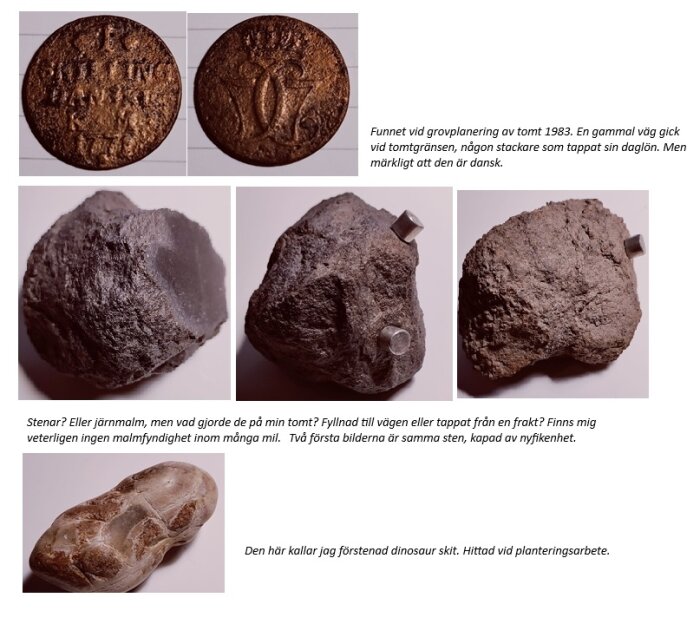 Gamla mynt och stenar från en tomt, inklusive en sten som liknar fossilerad dinosauriebajs, hittades vid planteringsarbete.