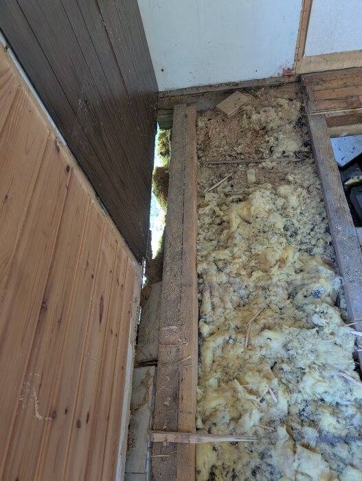 Renovering pågår med synlig isolering och tydliga tecken på mössaktivitet under husgolv.