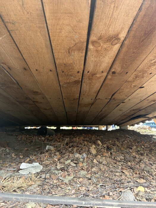 Undersida av träblindbotten ovanför mark täckt med löv och grenar, med ventilationsutrymme mellan marken och trästrukturen.