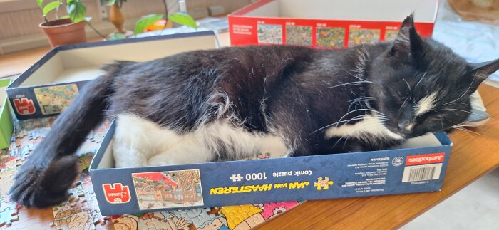 Svartvit katt vilar bekvämt i en pussellåda, med huvudstödet på kanten, omgiven av pusselbitar.