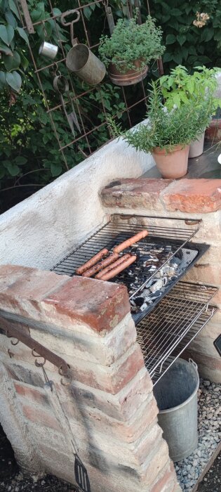 Korv som grillas på en utomhusgrill av tegelsten, med växter i kruka och trädgårdsverktyg i bakgrunden.