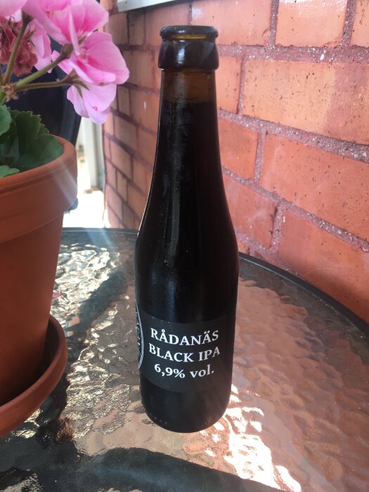 Flaska med Rådanäs Black IPA 6,9% vol på ett glasbord bredvid en blomkruka och tegelvägg.