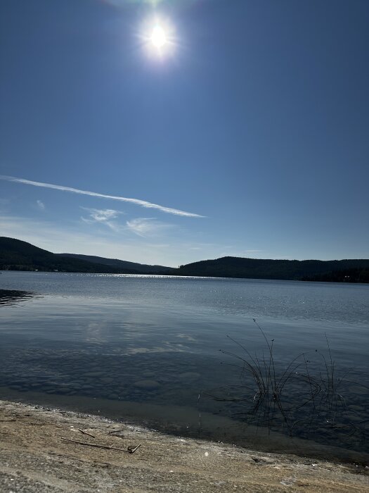 Solig sommardag vid sjön med klarblå himmel och omgivande skogslandskap.