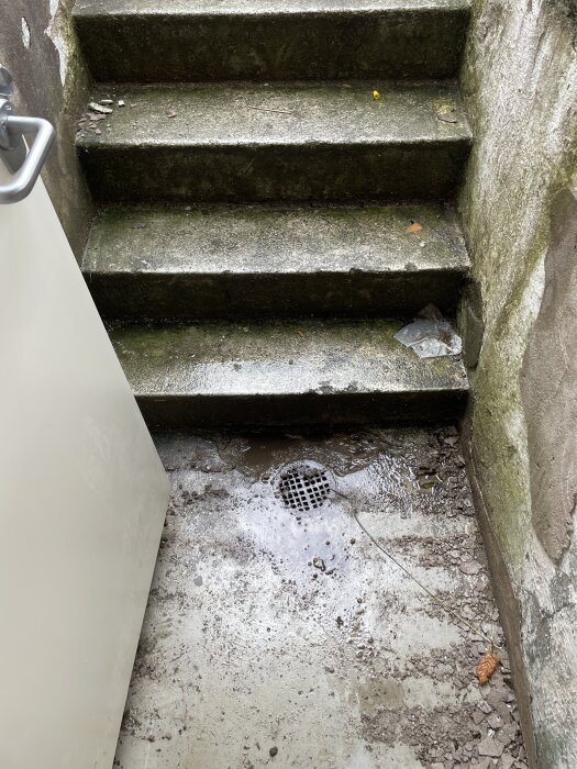 Gamla slitna trappsteg ned till källare med lossnande puts och vattenansamling vid brunnen.