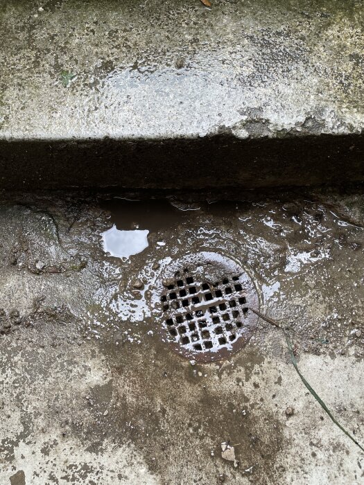 Gammal och sliten källartrappa med avrunnet vatten och en synlig avloppsbrunn, omgärdad av skadat puts.