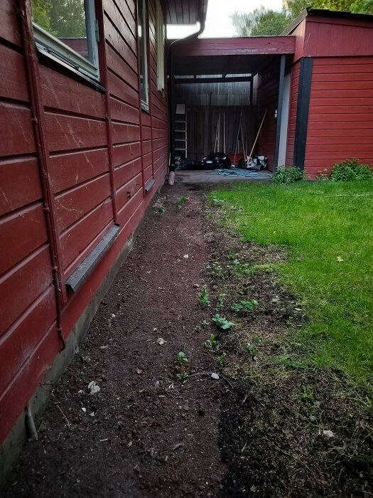 Renovering av dödsbo visar en jordremsa längs med ett rött trähus, övergång till gräsmatta. Trädgårdsredskap i bakgrunden.