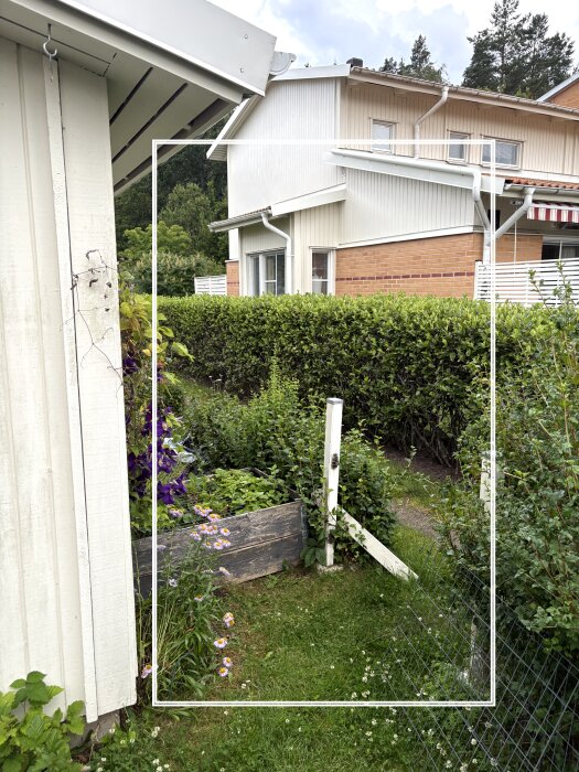 Vy av en trädgård med en vit förrådsbyggnad till vänster och en grindstolpe i en häck till höger. Blommor och grönska syns i förgrunden.