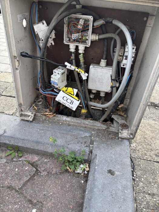 Öppen elskåp på parkeringsplats i Belgien med exponerade kablar och växt som växer intill.