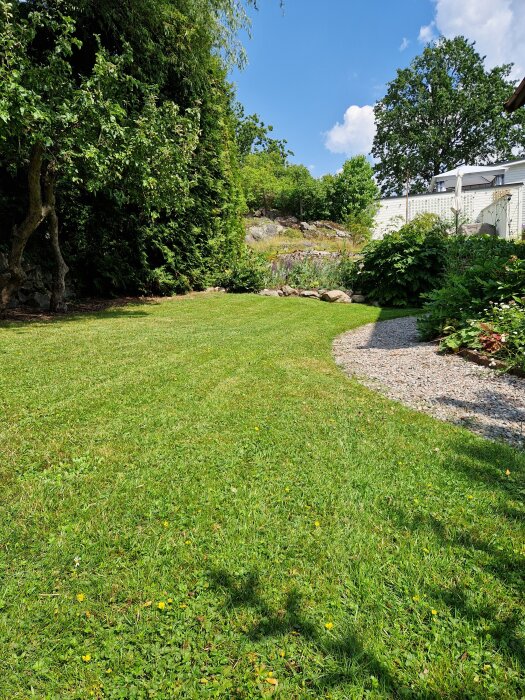 Välklippt gräsmatta med inslag av revfingerört, åkervinda och klöver, omgiven av buskar och träd under en klarblå himmel.