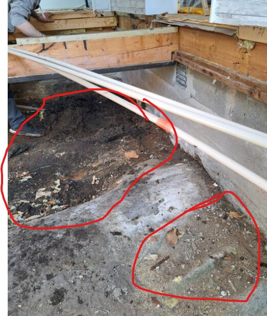 Under en trägrund syns mark med jord och organiskt material. Röda cirklar markerar specifika områden.