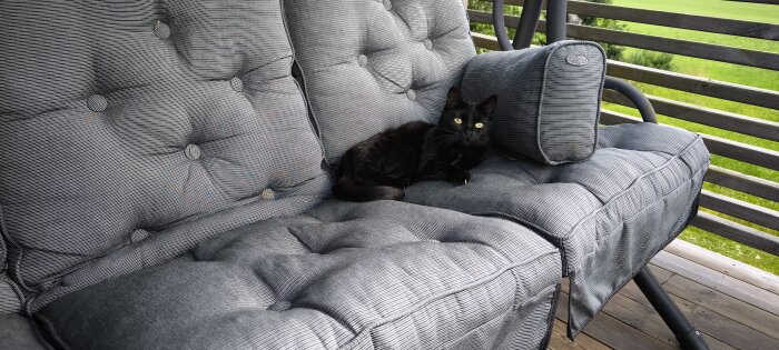 Svart katt ligger i en grå hammock på en veranda.
