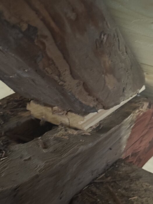 Hantverkare använder en spont-bit som kil för att räta upp en takstol på ett gammalt uthus.