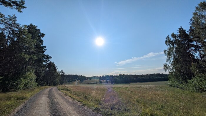 Grusväg omgiven av skog och ängar, med solen högt på en klarblå himmel.