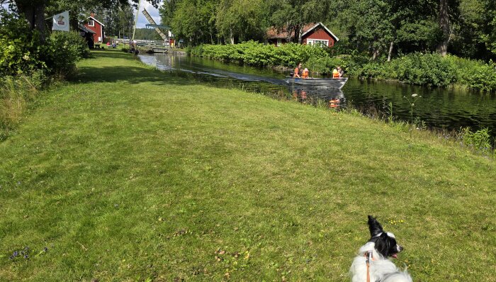Hund vid kanal med röd stuga i skogsmiljö, båt med personer i flytvästar på vattnet.