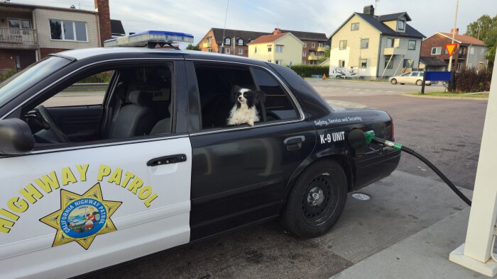 Hund sitter i baksätet på en polisbil märkt "Highway Patrol" vid en bensinpump, bilens tank fylls.