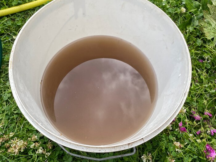 Hink med smutsigt vatten efter att ha tvättat tre brädor på husets fasad.