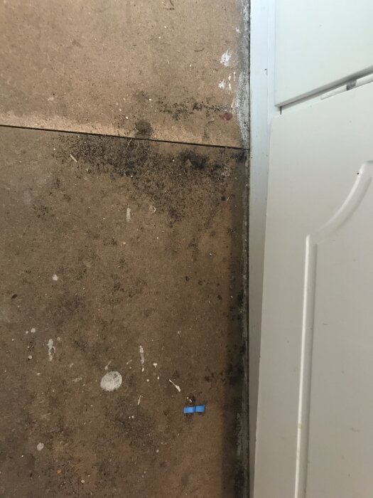 Golvet vid ett hörn visar tecken på svart missfärgning och fukt under en plastmatta i en 28 kvm sommarstuga, synlig bräda och väggkant.