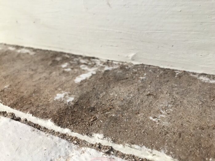 Närbild på ett golv med svart missfärgning och ojämnheter, troligen orsakat av fukt, i en sommarstugas sovrum.