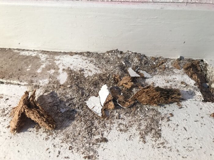 Ruttet trä och svart missfärgning på golvbrädor i ett kök, tecken på fuktskada under en plastmatta i en sommarstuga.