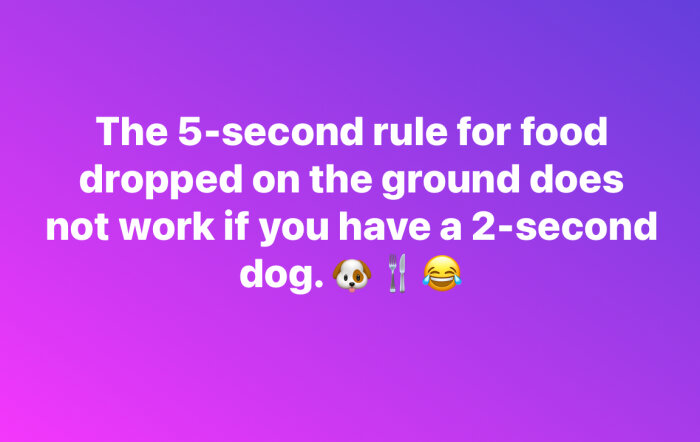 Texten "The 5-second rule for food dropped on the ground does not work if you have a 2-second dog." på lila bakgrund med emojis.