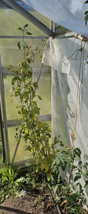 20250717_165105[1].jpg