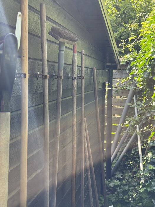 Trädgårdsredskap hängda på en vägg utomhus, omgivna av murgröna och grönska.