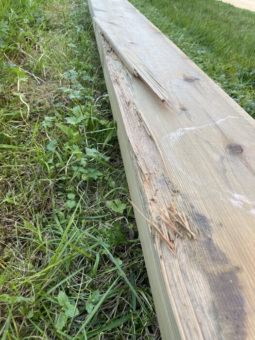 Skadat träregel liggande på gräs, med flisor och märken längs ena kanten.