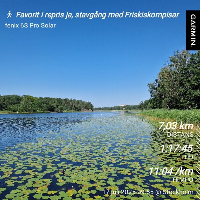 Sjön med näckrosblad och omgivande skog under en klarblå himmel, med data för promenad i hörnet, tagen i Stockholm den 17 juli 2025.