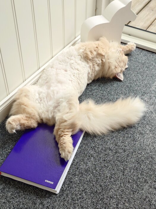 En fluffig katt ligger avslappnat på rygg på en lila skrivbok bredvid en vit bokstödshäst vid ett fönster.