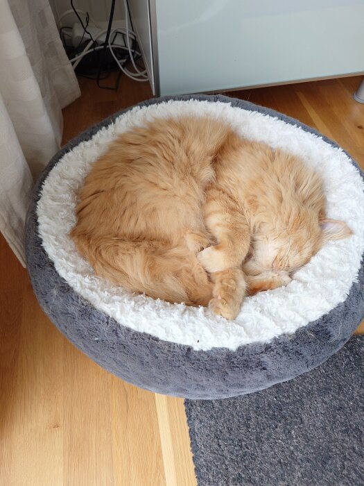Sovande orange katt i en rund korg på golvet.