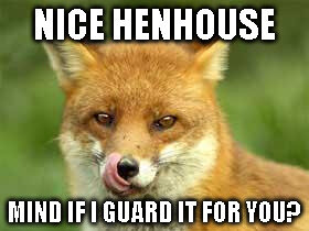 Räv slickar sig om nosen med texten "Nice henhouse, mind if I guard it for you?" som humoristisk antydan.