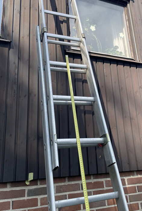 Stege lutad mot husvägg framför fönster, måttband visar 2,95 meter längs stegen, diskussion kring stegöverhäng och säkerhet i byggprojekt.