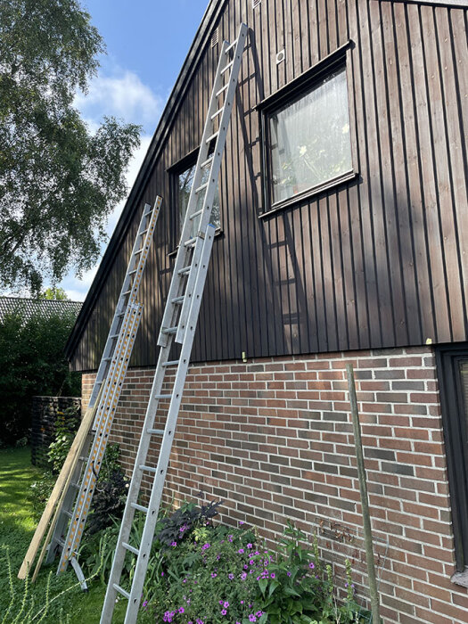 Två stegar lutade mot en brun tegelvägg vid ett hus med träpanel. Måttbandet visar längden 2,95 meter på en av stegarna.