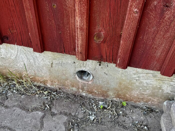 Ventilationshål i grund av torpargrund med röd träfasad. Hole is approximately 70mm, potential entry for mice.