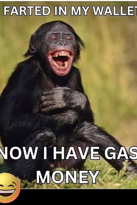 En skrattande apa med texten "Farted in my wallet, now I have gas money" och en stort leende emoji.