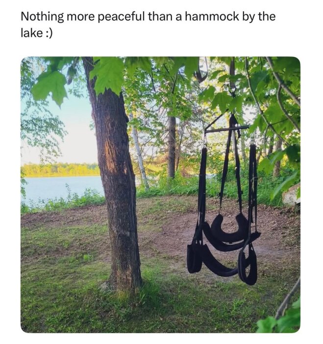 Hängmatta hänger mellan träd vid sjökanten på en solig dag, omgiven av grönska.