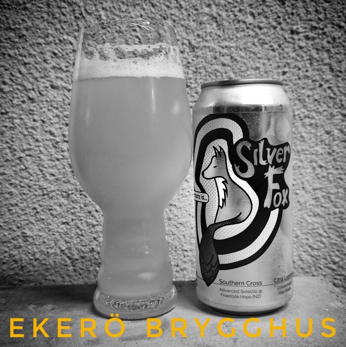 Ölglas med ljus öl bredvid en burk med etiketten "Silver Fox" från Ekerö Brygghus mot en texturerad vägg.