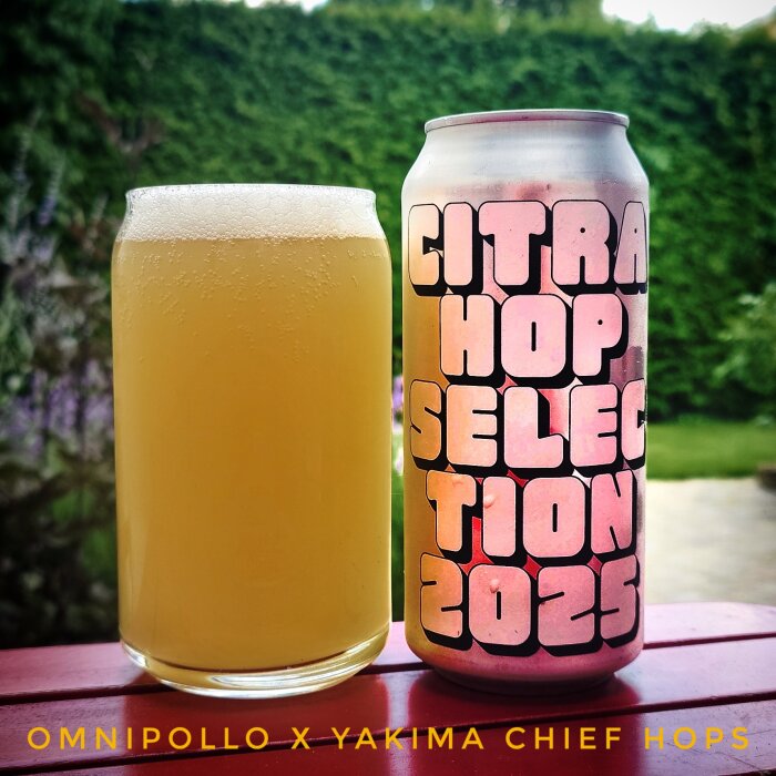 En burk märkt "Citra Hop Selection 2025" och ett glas ljus öl står på ett bord utomhus med en grön växt i bakgrunden.