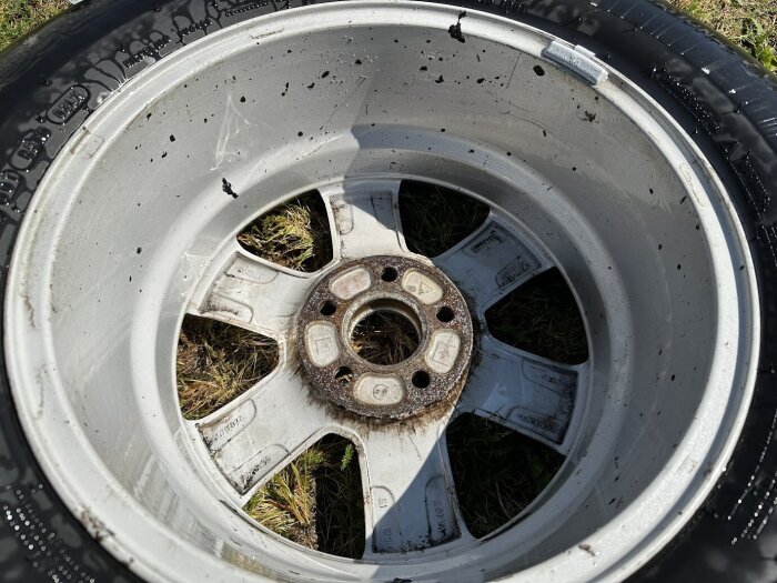 Sliten och smutsig vinterfälg till Volvon, fotograferad efter tvätt och behandling mot rost och smuts, i gräs.