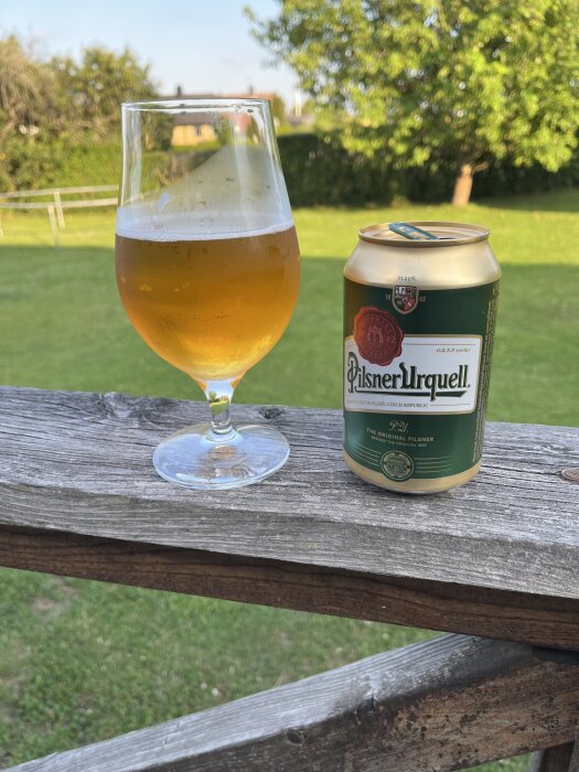 Ett glas och en burk Pilsner Urquell öl på ett trästaket i en grönskande trädgård.