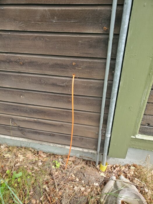 Orange fiberkabel vid en brun träfasad utan synligt kabelskydd. Gräs och löv på marken.