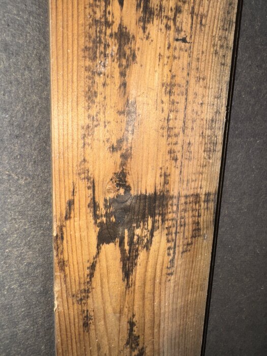 Träbräda med misstänkt mögel och sprickbildning i krypgrund.