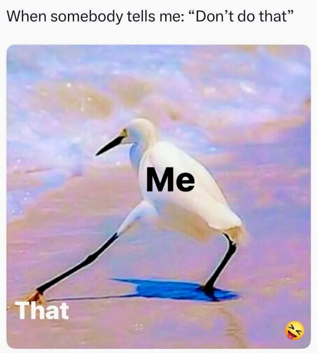 En fågel går på sand med en text ovanför: "When somebody tells me: 'Don't do that'". Fågeln är märkt "Me" och sanden "That".